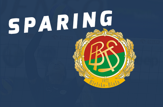 Remis w sparingu z reprezentacją Polski